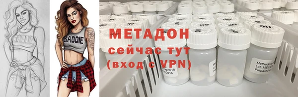 ГАЛЛЮЦИНОГЕННЫЕ ГРИБЫ Бородино