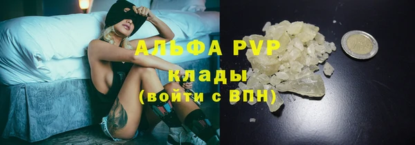 крисы Бугульма