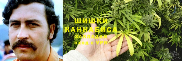 твердый Верхний Тагил