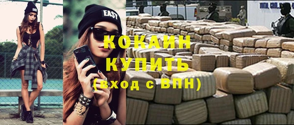 ГАЛЛЮЦИНОГЕННЫЕ ГРИБЫ Бородино