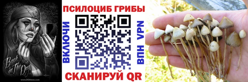 Купить  Россошь  Псилоцибиновые грибы GOLDEN TEACHER 